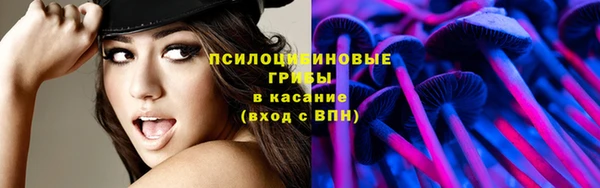 мяу мяу мука Алексин
