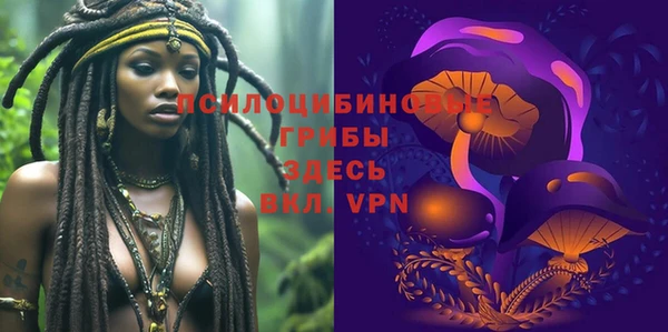 метадон Алексеевка