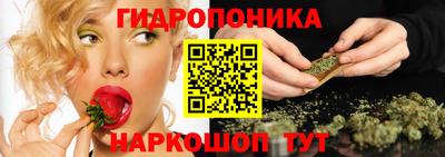 apvp Заводоуковск
