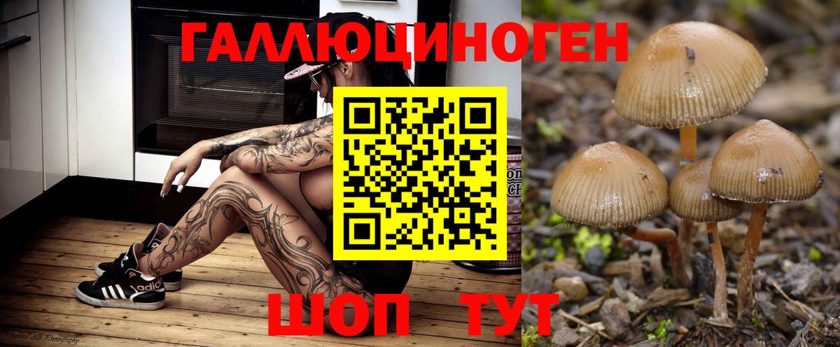 Псилоцибиновые грибы Magic Shrooms  Вход с VPN  Благовещенск 