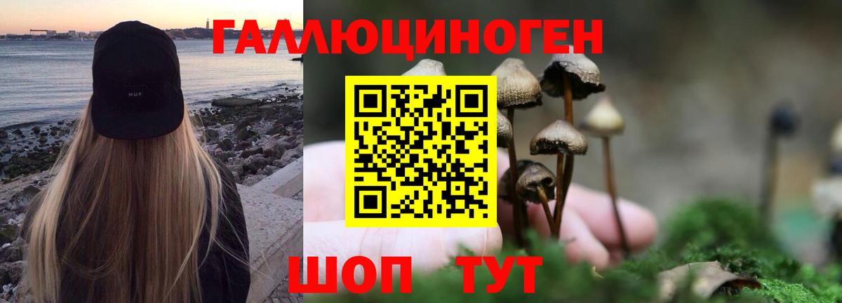 Псилоцибиновые грибы мицелий Благовещенск